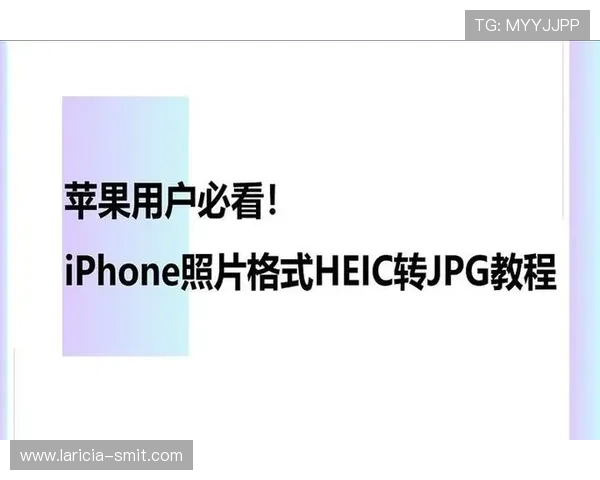 苹果用户必看凯发客户端免费下载安装指南及常见问题解决方案